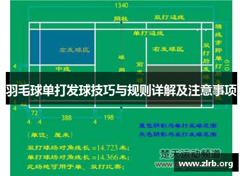羽毛球单打发球技巧与规则详解及注意事项